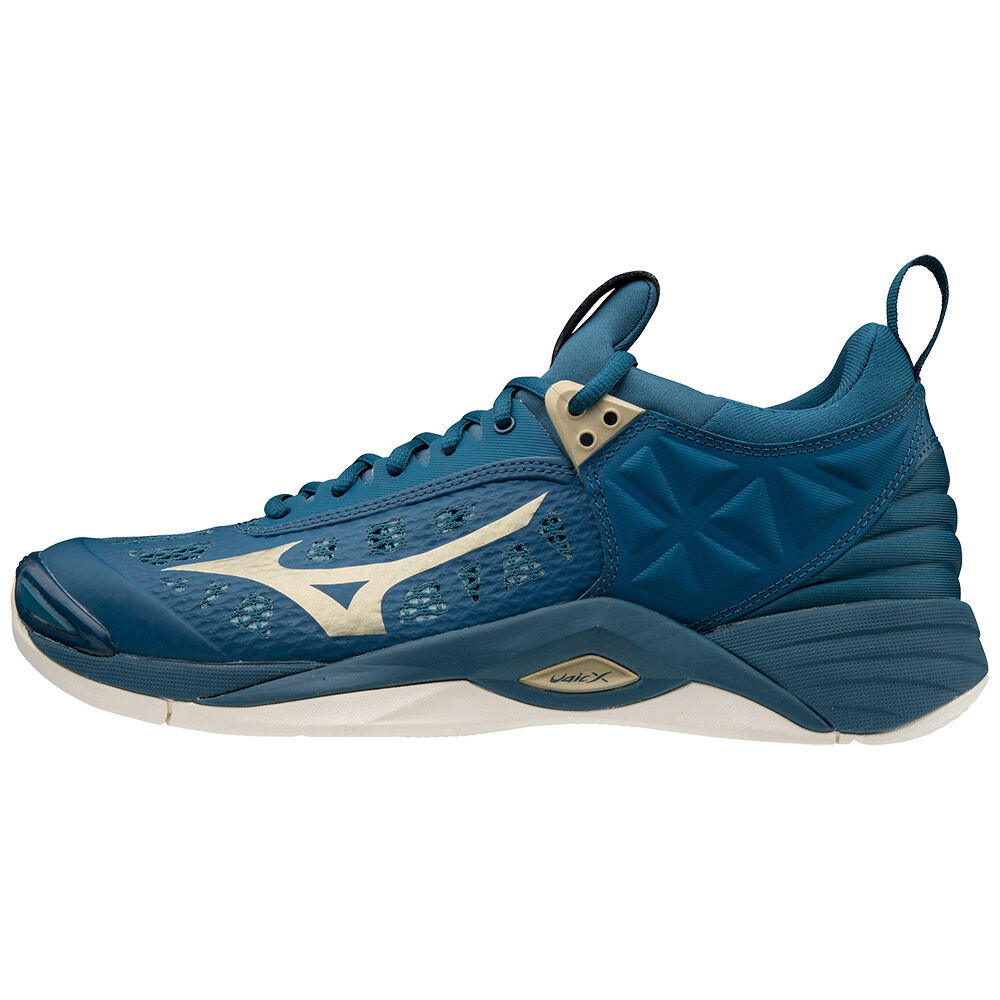 Mizuno Wave Momentum Férfi Röplabda Cipő Kék RAG126853